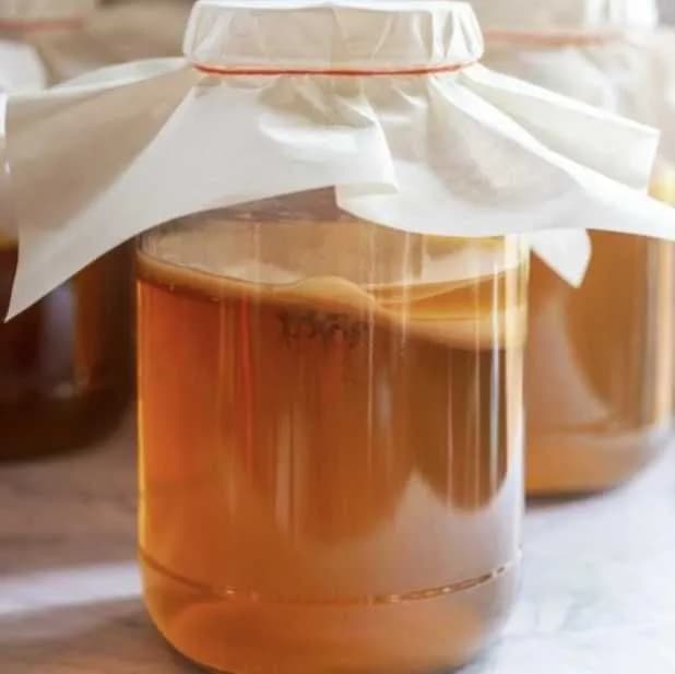 Gdzie kupić grzybek kombucha? Sprawdź najlepsze miejsca i ceny Gdzie kupić grzybek kombucha? Sprawdź najlepsze miejsca i ceny