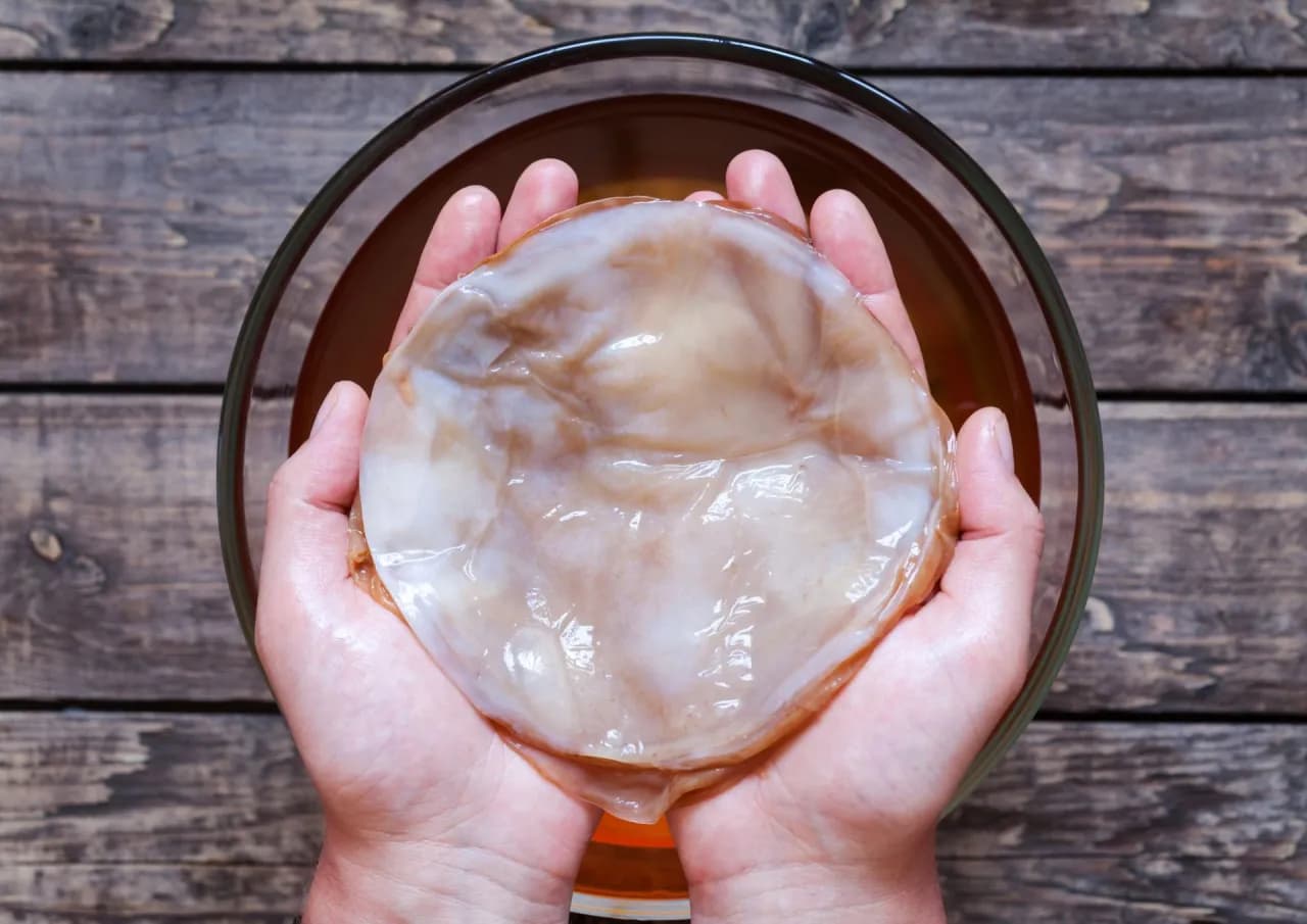 Kombucha jaki to grzyb: odkryj tajemnice SCOBY i jego właściwości Kombucha jaki to grzyb: odkryj tajemnice SCOBY i jego właściwości