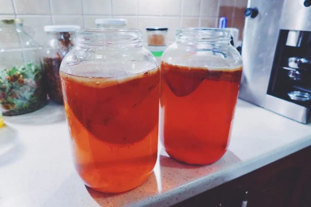 Kiedy kombucha jest zepsuta? Poznaj objawy i uniknij problemów Kiedy kombucha jest zepsuta? Poznaj objawy i uniknij problemów